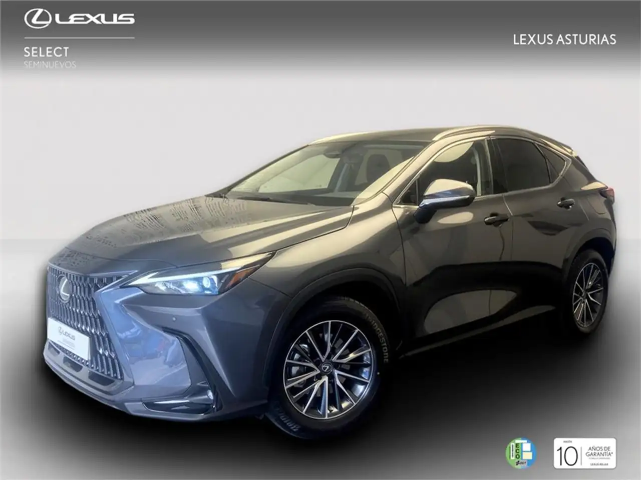 Renting Lexus NX 350h Business City 2WD