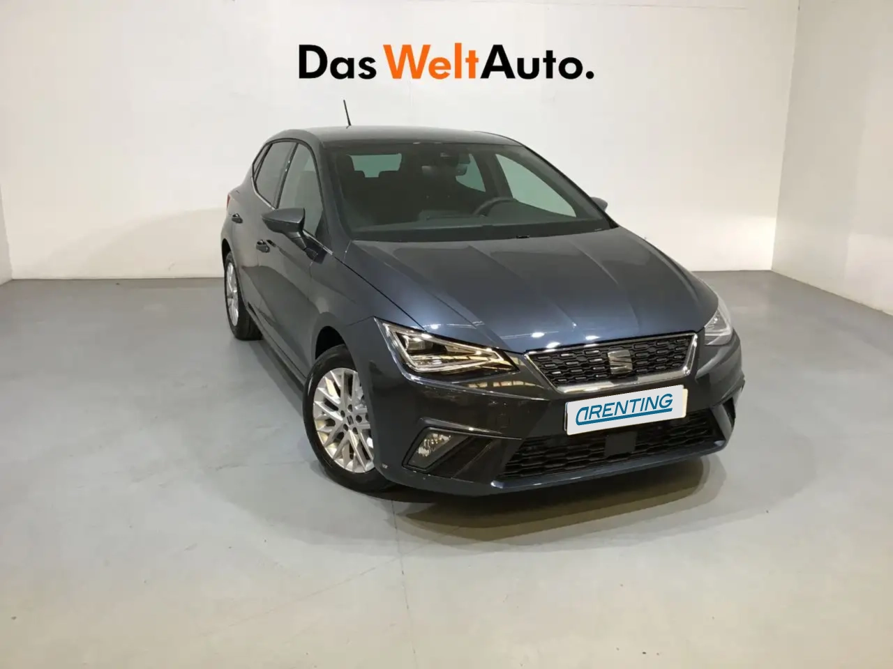 Renting SEAT Ibiza 1.0 TSI S&S Special Edition 115 Gris