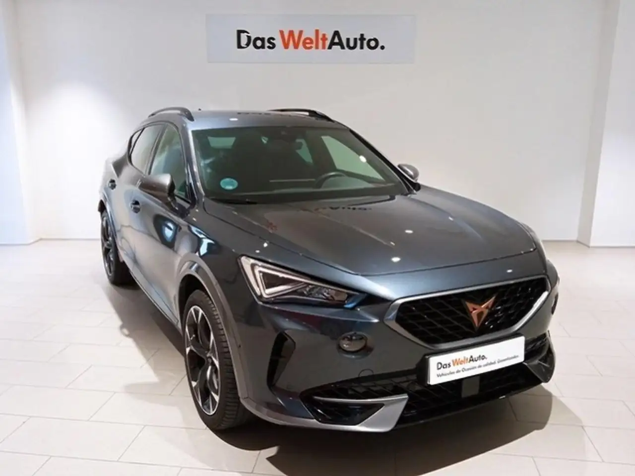 Renting CUPRA Formentor 2.0 TSI 310 VZ DSG 4Drive Gris 6 1