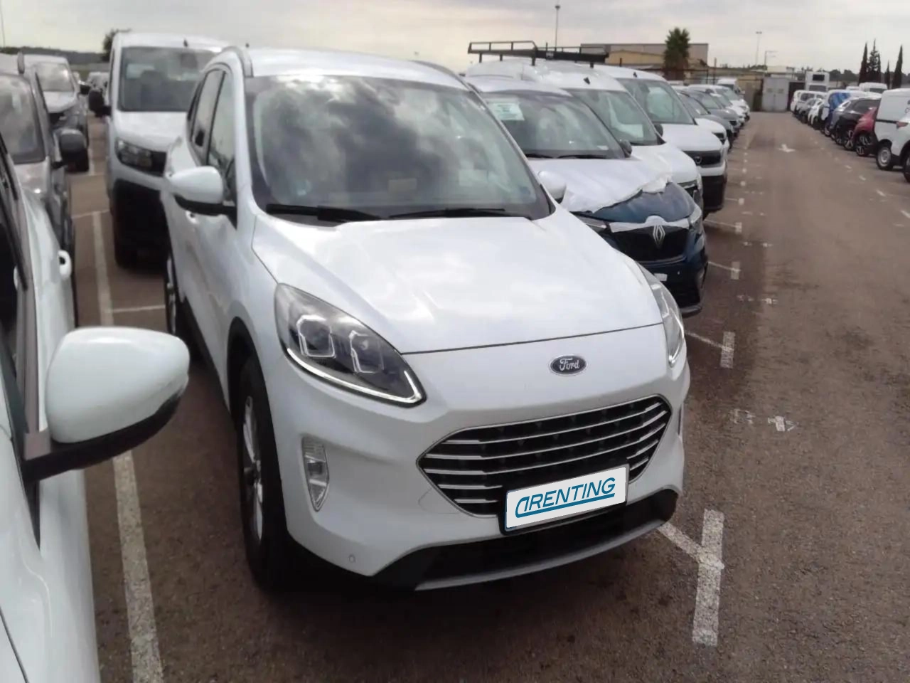 Renting Ford Kuga 1.5 EcoBlue ST-Line FWD 120 Blanco 2