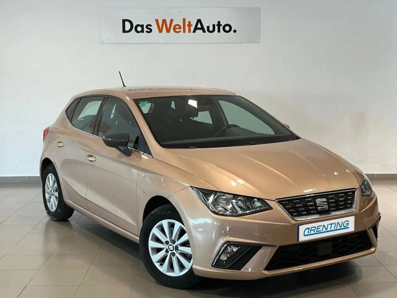 Renting SEAT Ibiza 1.6TDI CR S&S Xcellence 95 Marrón