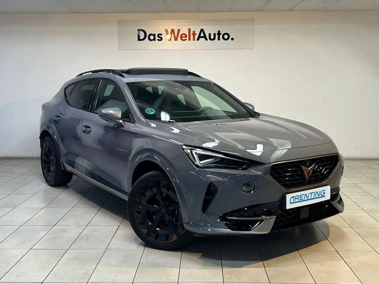 Renting CUPRA Formentor 1.5 TSI 150 DSG Gris 9