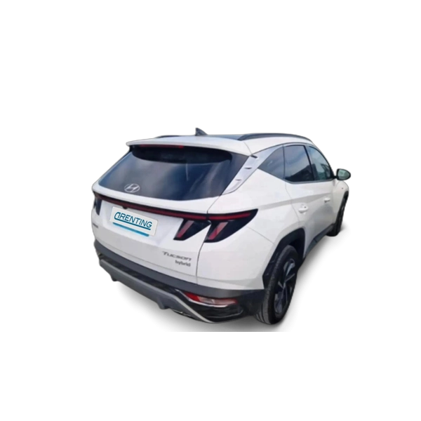 Renting Hyundai TUCSON 1.6 TGDI 48V Tecno Sky 4×2 DT Blanco 2