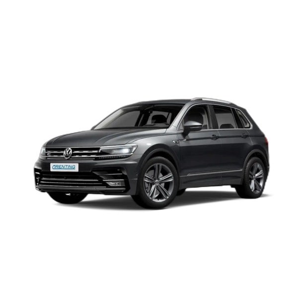 Renting Volkswagen Tiguan 2.0TDI Sport 4Motion DSG 140kW Gris 2