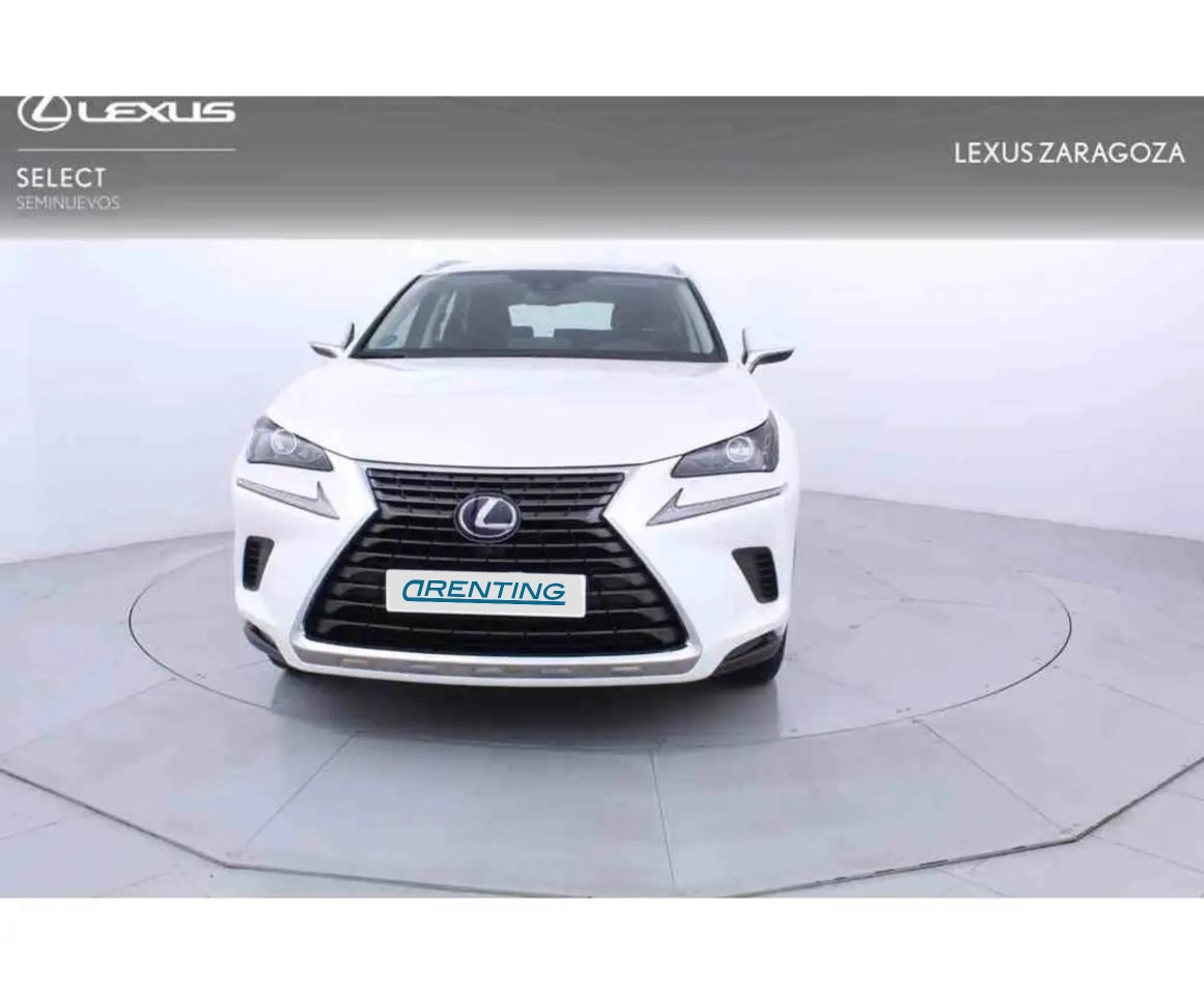 Renting Lexus NX 300 300h Business Navigation 2WD Blanco