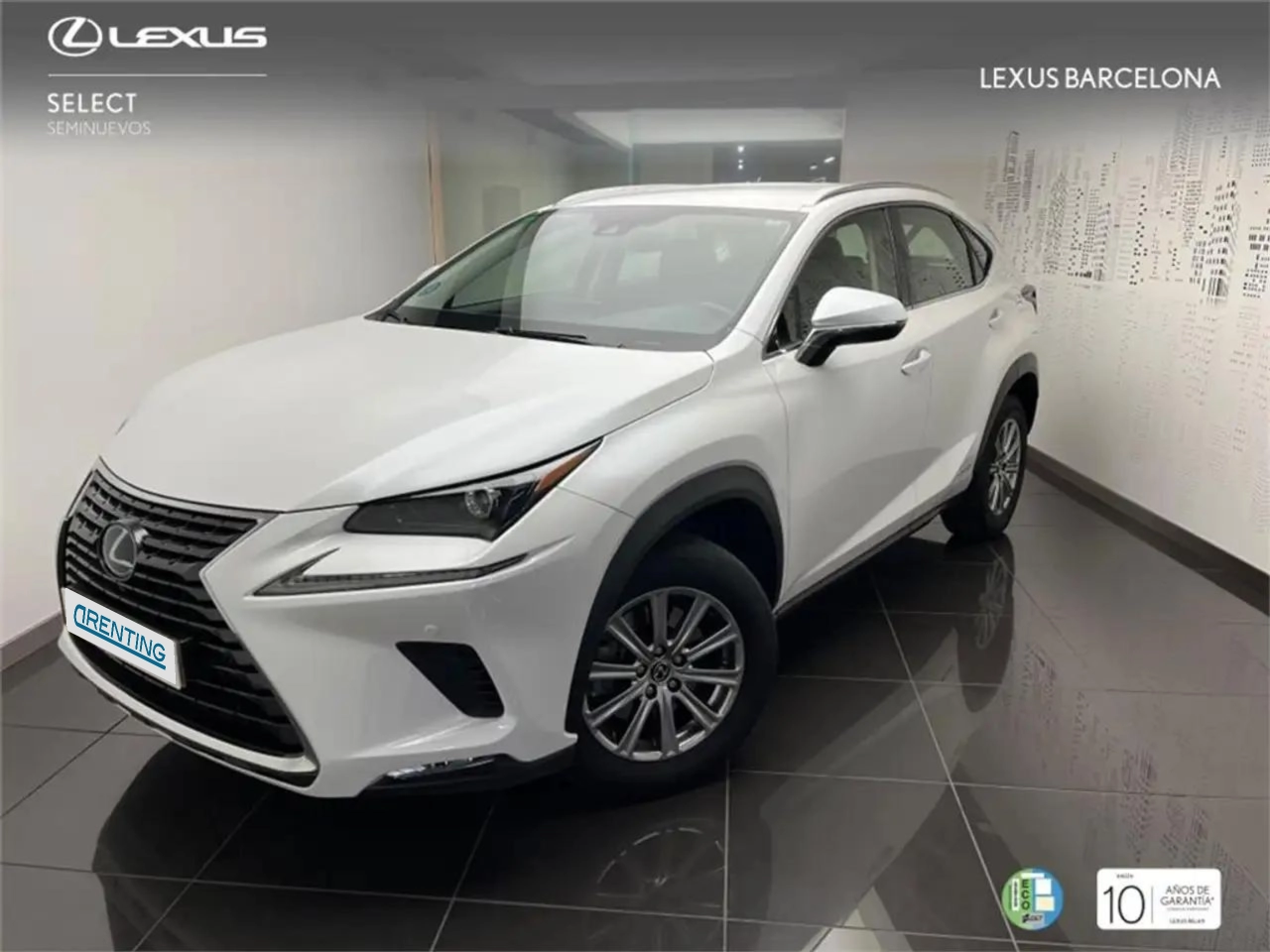 Renting Lexus NX 300h Business Navigation 2WD 1