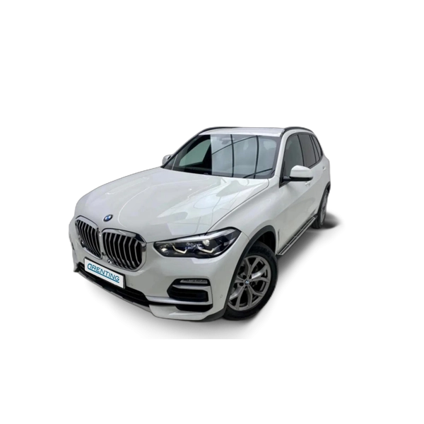 Renting BMW X5 xDrive 30dA 9.75 Blanco