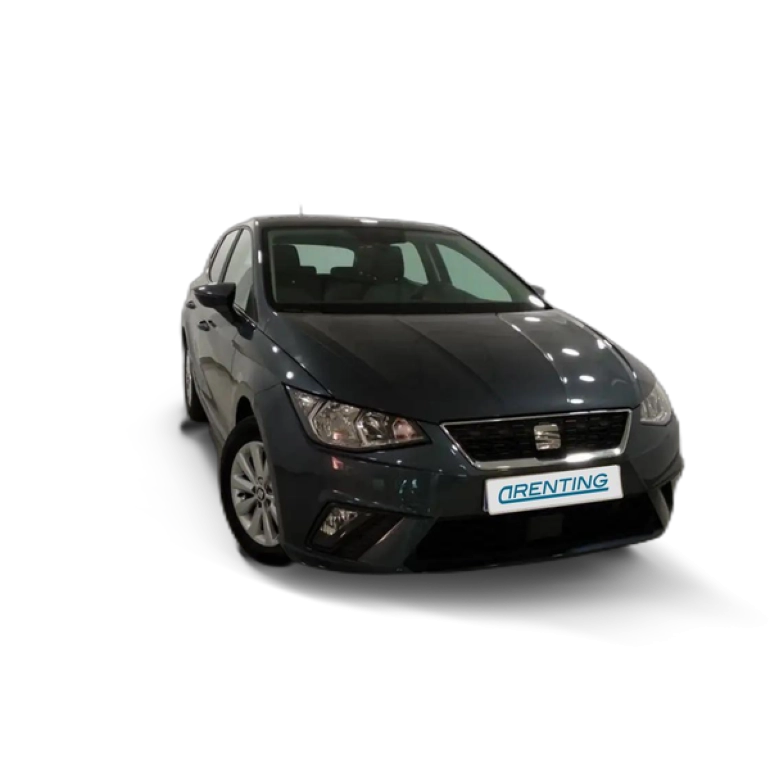 Renting SEAT Ibiza 1.0 MPI S&S Style 80 Gris 2