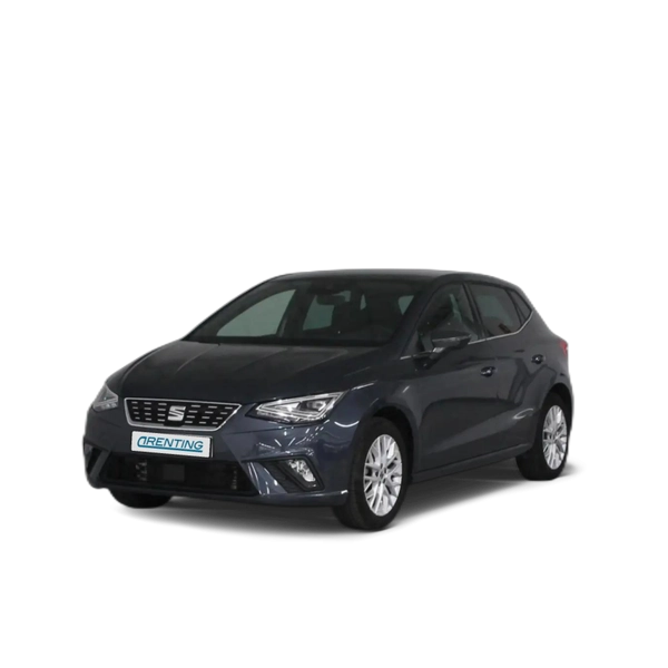 Renting SEAT Ibiza 1.0 TSI S&S Special Edition 110 Gris