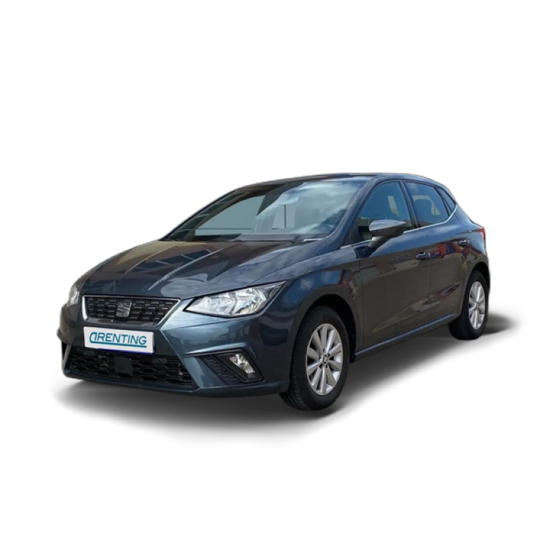 Renting SEAT Ibiza 1.0 TSI S&S Xcellence DSG7 115 Gris 1