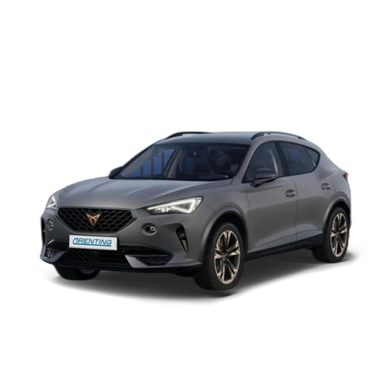 Renting CUPRA Formentor 1.5 TSI 150 DSG Gris 5