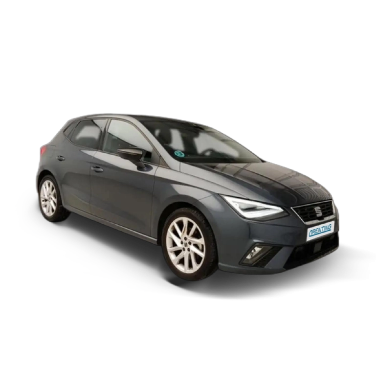 Renting SEAT Ibiza 1.5 TSI S&S FR XS DSG7 150 Gris 1