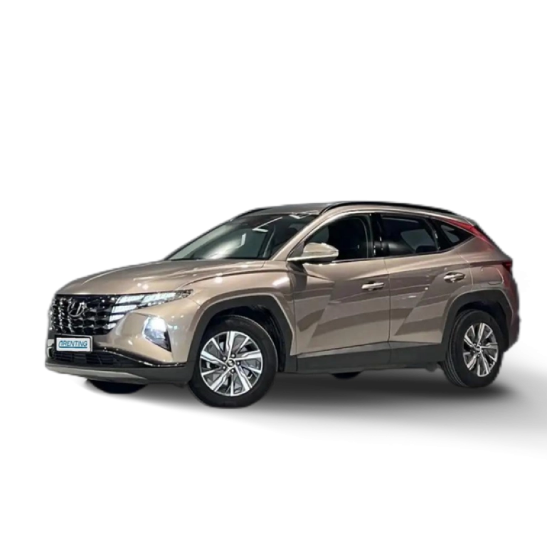 Renting Hyundai TUCSON 1.6 CRDI Maxx 4×2 Amarillo