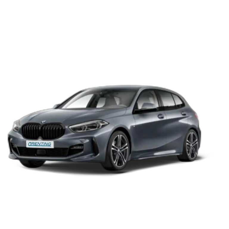 Renting BMW 116 116d Gris 1