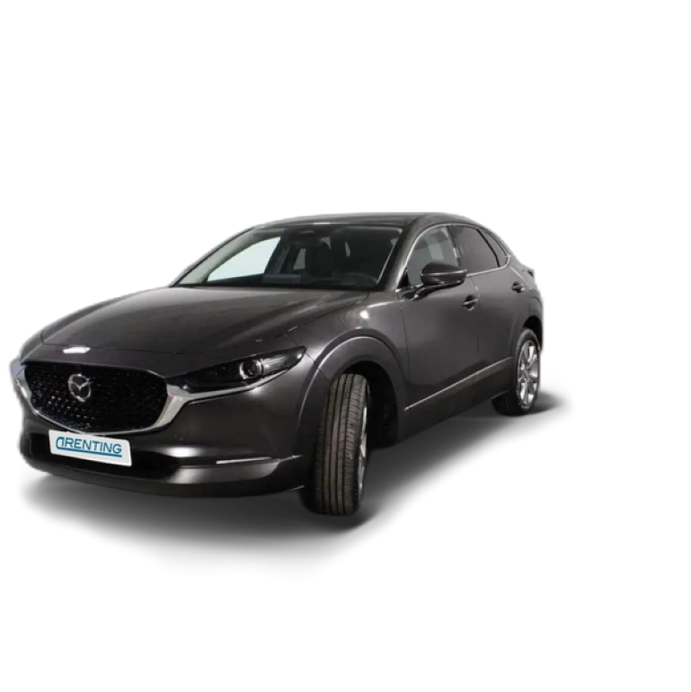 Renting Mazda CX-30 2.0 e-Skyactiv-G Exclusive Line AWD 110kW Gris 1