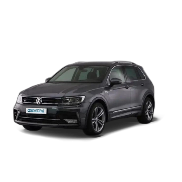 Renting Volkswagen Tiguan 2.0TDI R-Line DSG 110kW Gris 4