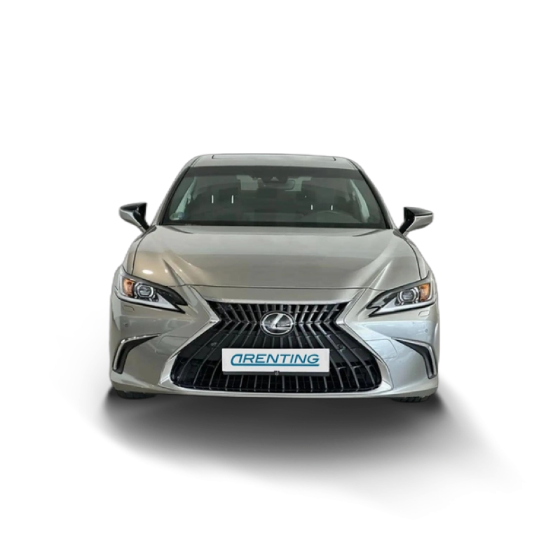 Renting Lexus ES 300 2.5 300h Premium Gris