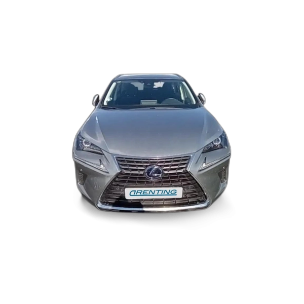 Renting Lexus NX 300 300h Business 2WD Gris 2