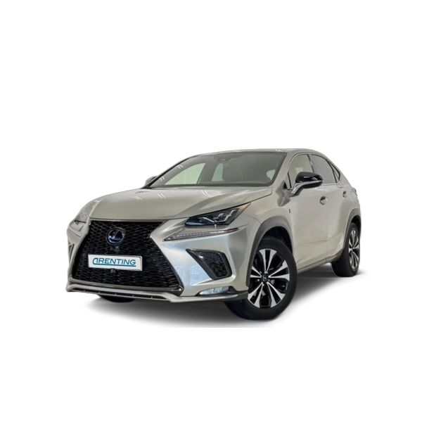 Renting Lexus NX 300 300h F Sport Panorámico 4WD Gris 1