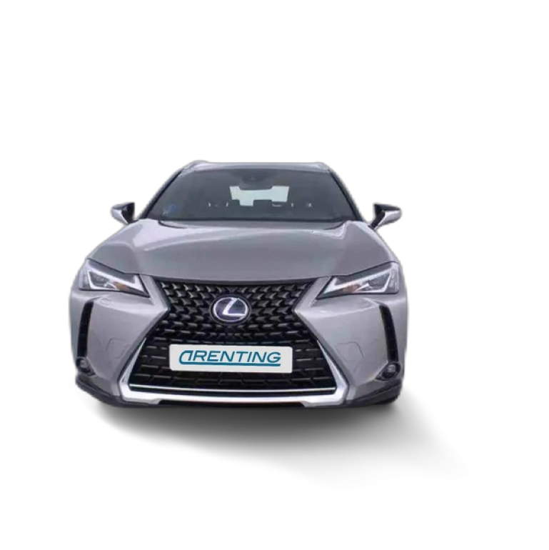 Renting Lexus UX 250h Business Navigation 4WD Gris 1