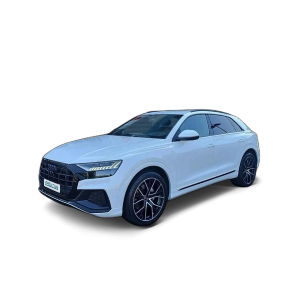 Renting Audi Q8 s-line