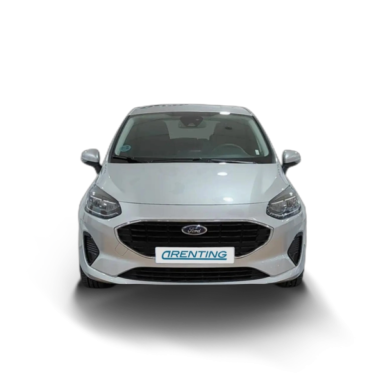 Renting Ford Fiesta Trend Gris 1 1