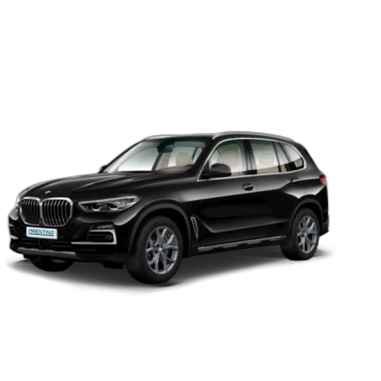 Renting BMW X5 xDrive 30dA Negro 1