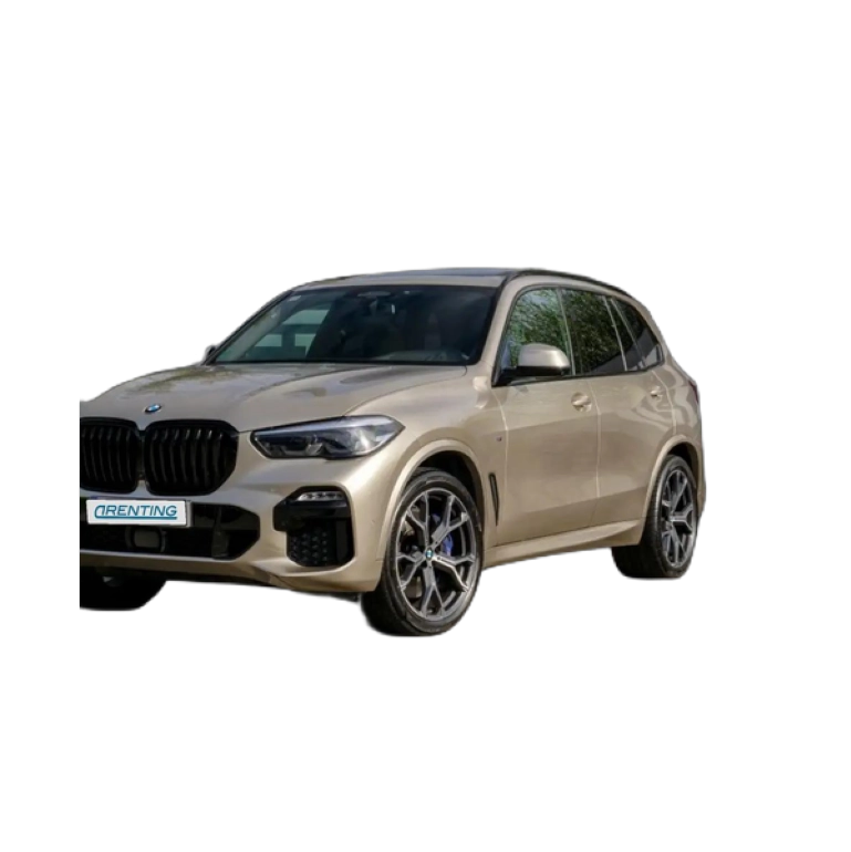 Renting BMW X5 xDrive 30dA 9.75 Gris