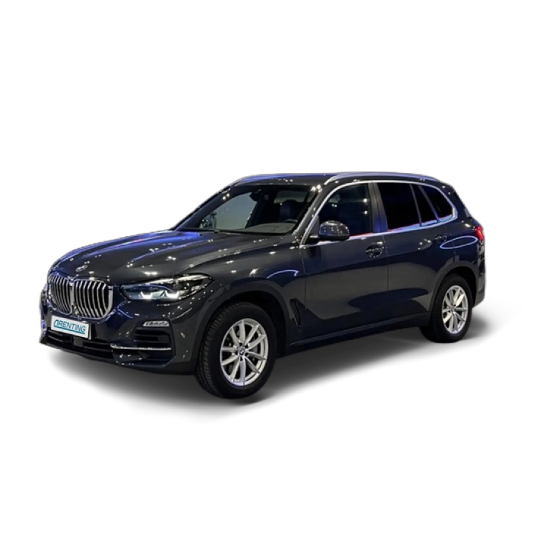 Renting BMW X5 xDrive 30dA Gris 1