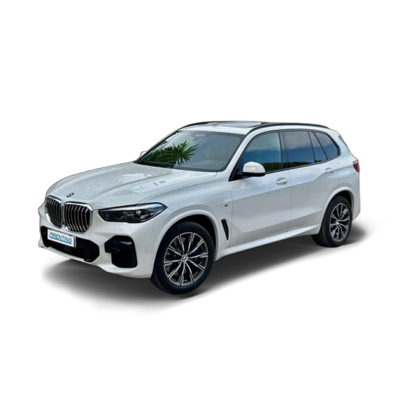 Renting BMW X5 xDrive 40dA Blanco