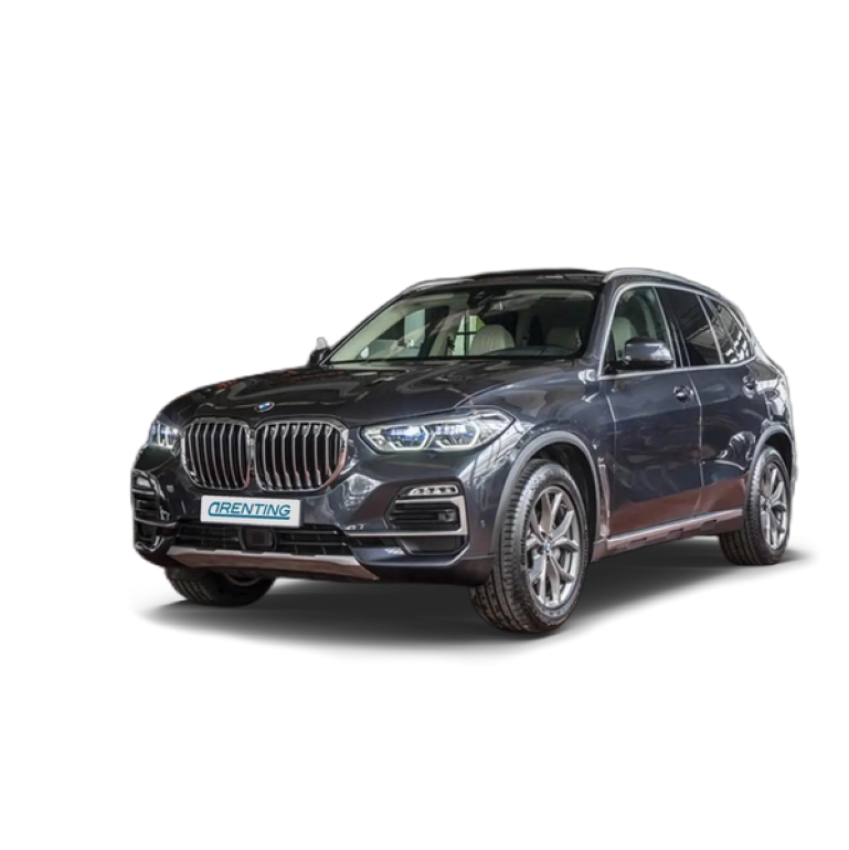 Renting BMW X5 xDrive 40iA Gris 1