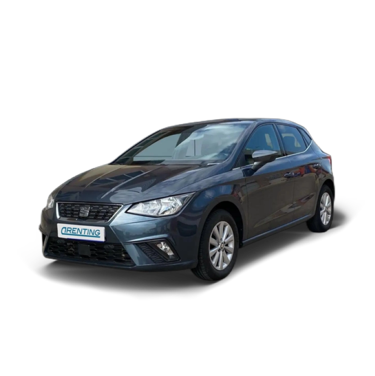 Renting SEAT Ibiza 1.0 TSI S&S Xcellence DSG7 115 Gris 1