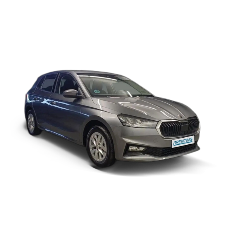 Renting Skoda Fabia 1.0 TSI Essence 70kW Gris 1